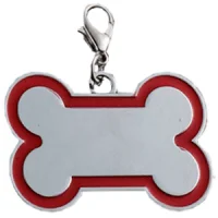 Id hueso en zinc alloy plata con borde de colores tamaños 32*22mm – 45*30mm – 65*42mm - Imagen 3
